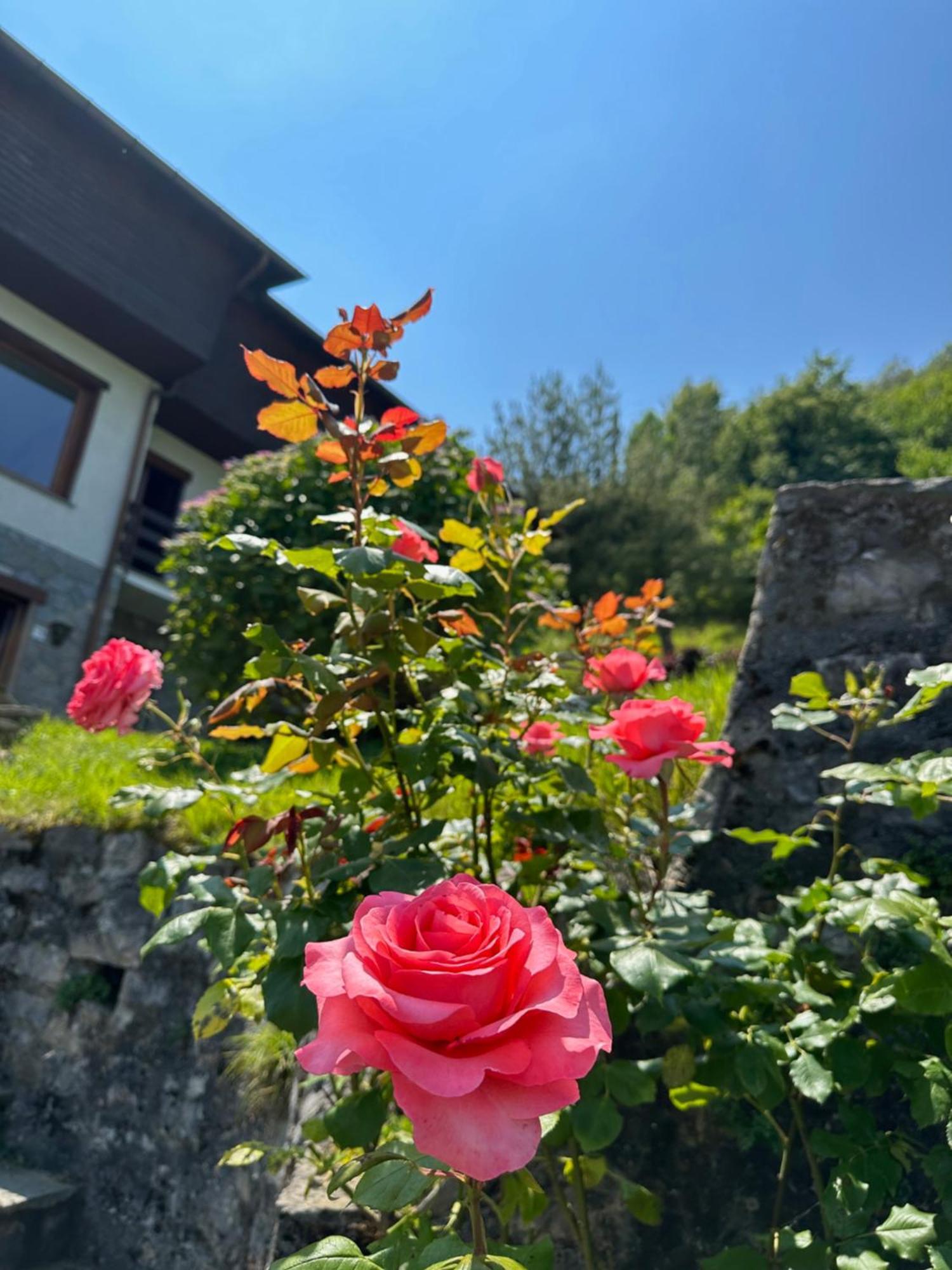 Villa D'Alba Guest House Civenna Bagian luar foto